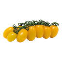 https://cdn.shopify.com/s/files/1/0729/0863/6494/files/5_f100e71d-117a-4a42-8f30-4121941cbed7.png?v=1689058586