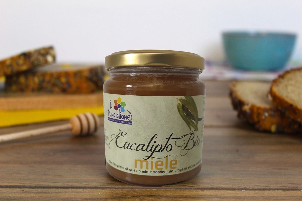 https://cdn.shopify.com/s/files/1/0729/0863/6494/products/miele_eucalipto_bio.jpg?v=1684757501