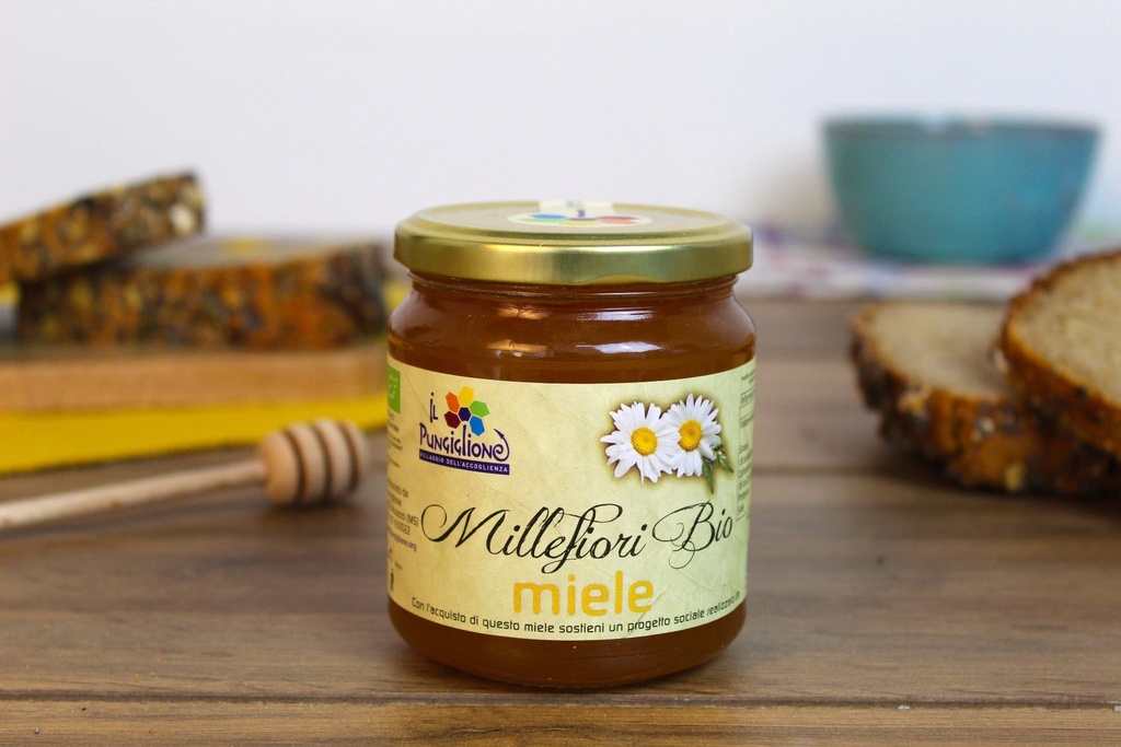 https://cdn.shopify.com/s/files/1/0729/0863/6494/products/miele-millefiori-bio.jpg?v=1684759986