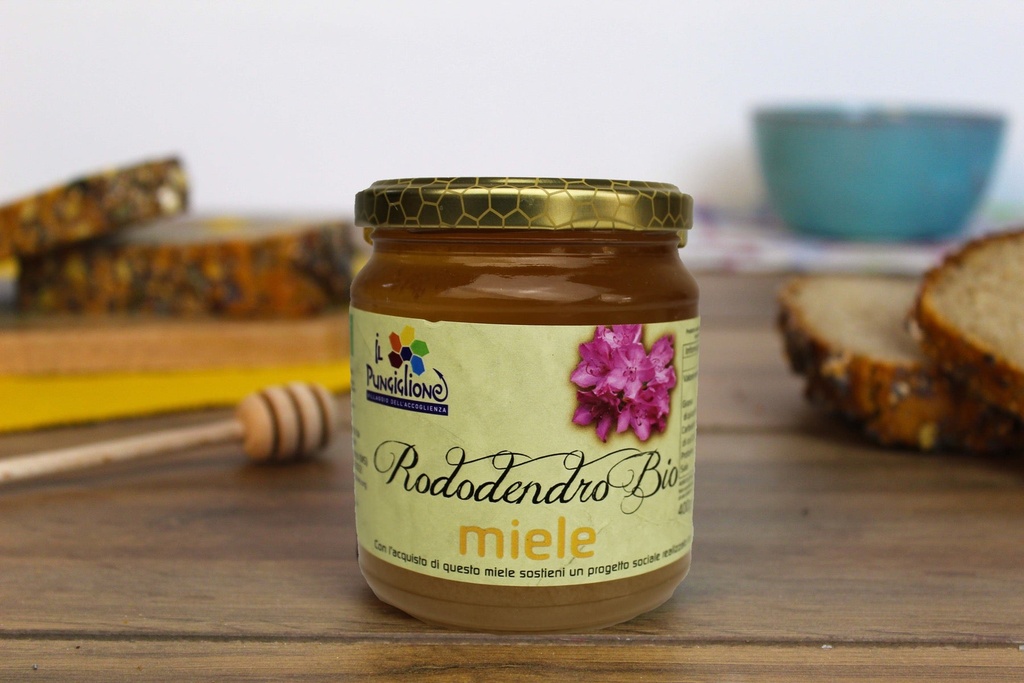 https://cdn.shopify.com/s/files/1/0729/0863/6494/products/miele_rododendro.jpg?v=1684757720