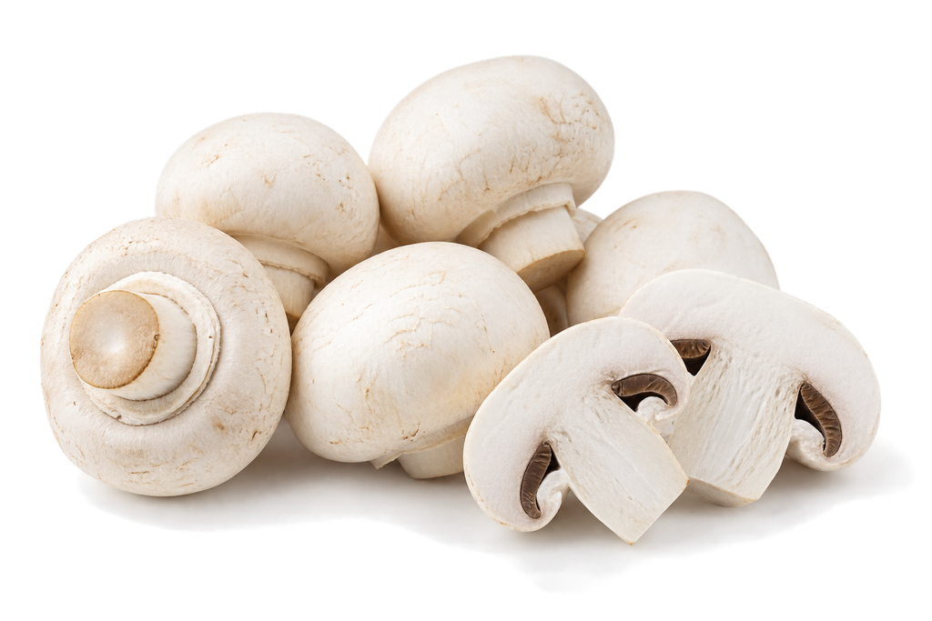Fungo Champignon Bio