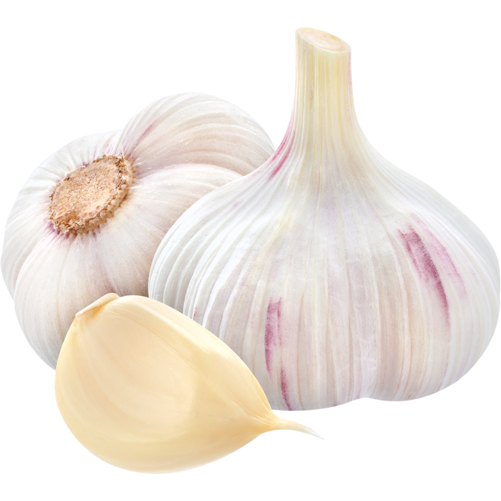 Aglio Secco Bio