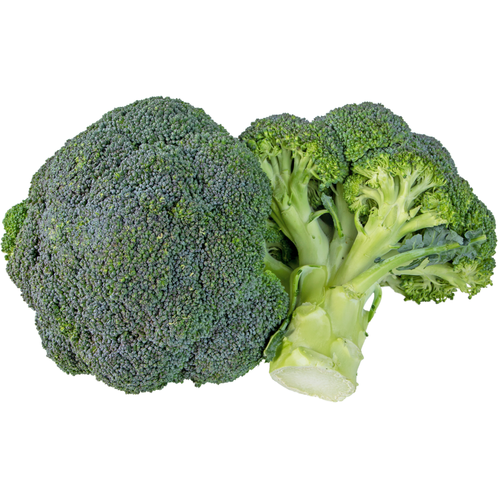 Cavolo Broccolo Bio