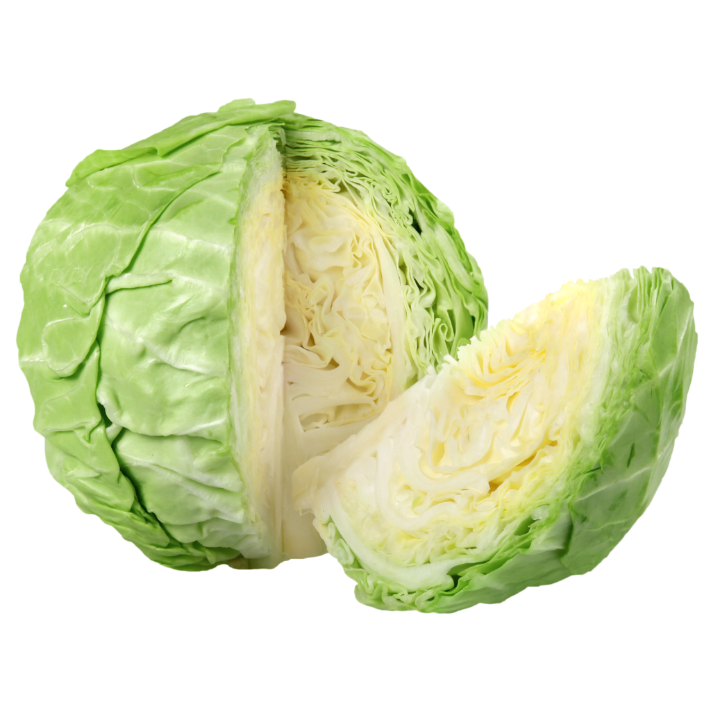 Cavolo Cappuccio Bio