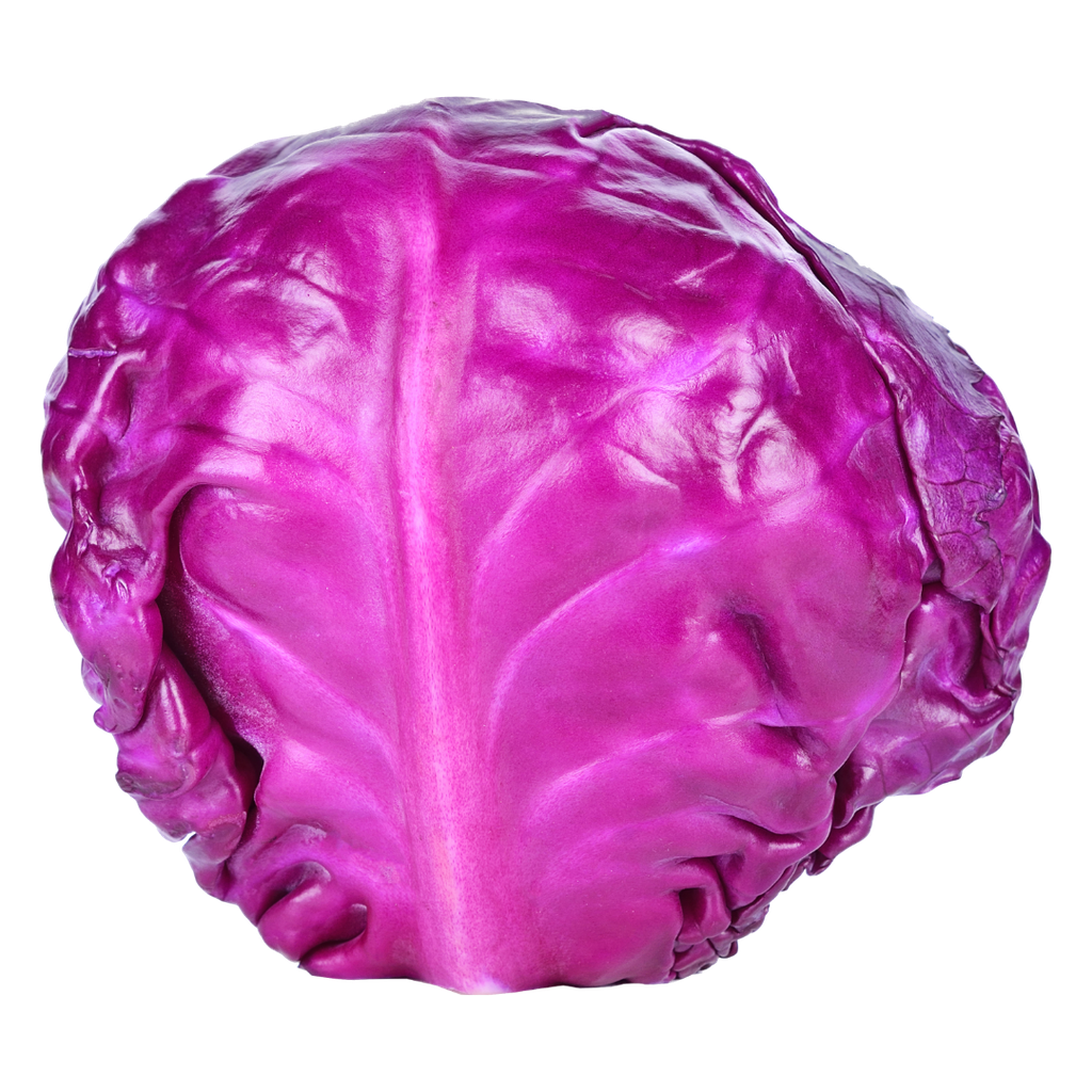 Cavolo Cappuccio Rosso Bio