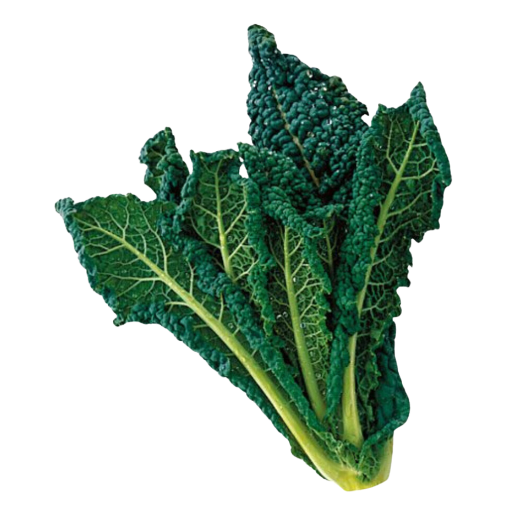 Cavolo Nero Bio