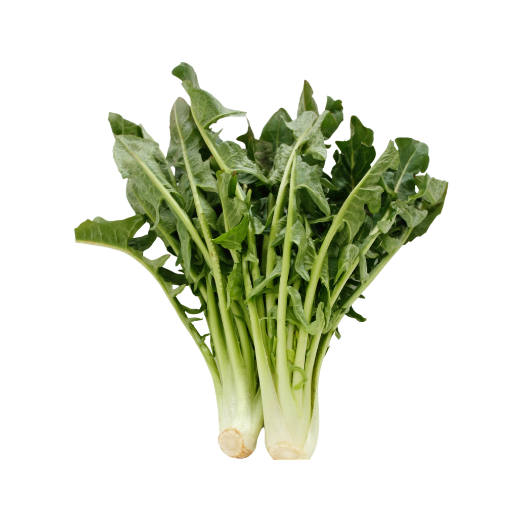 Cicoria Catalogna Bio