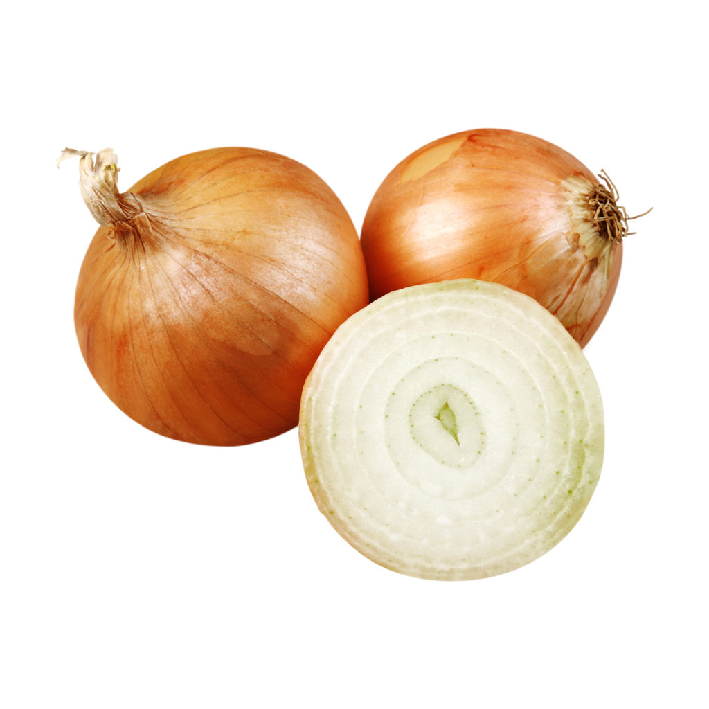 Cipolla Dorata Bio
