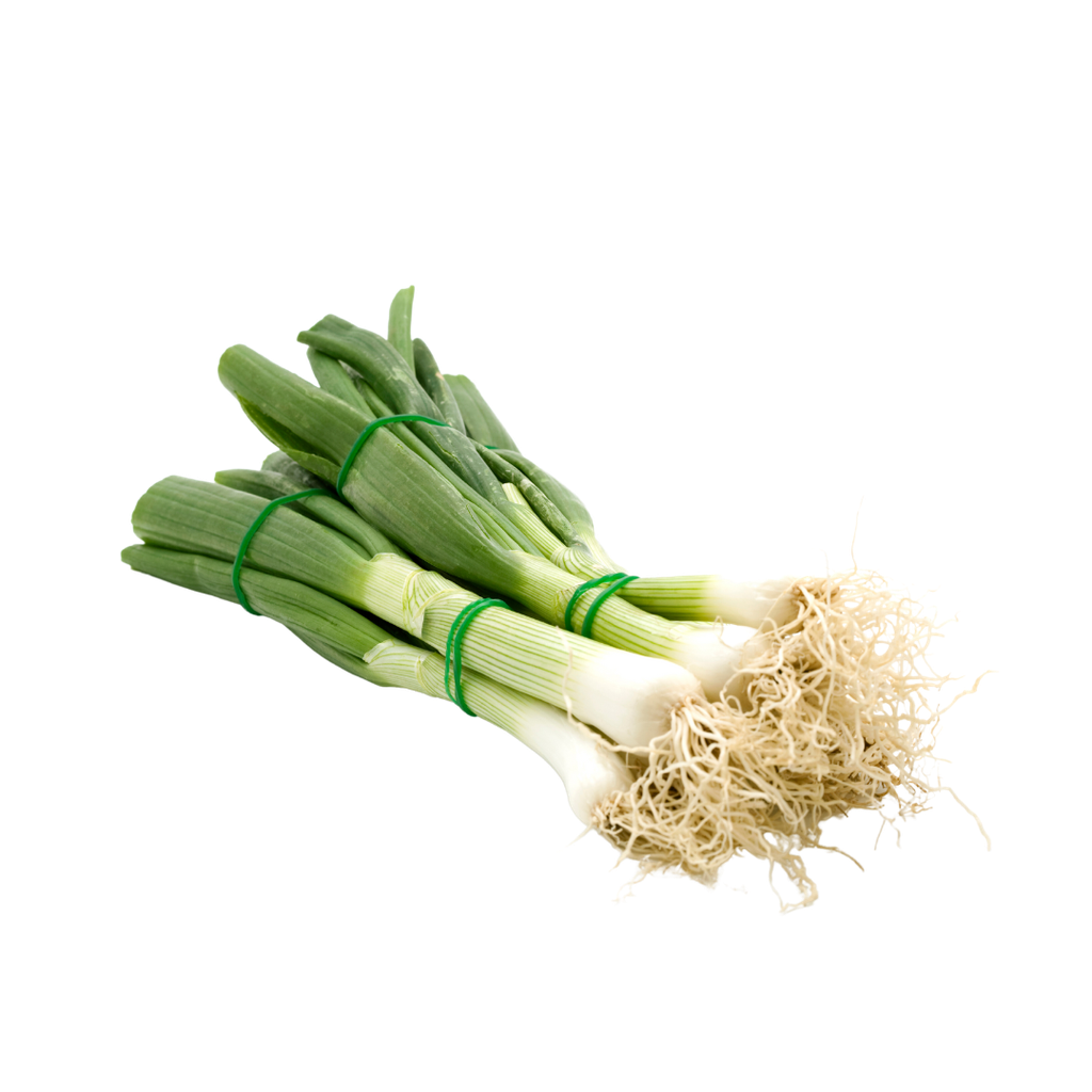 Cipollotto Fresco Bio