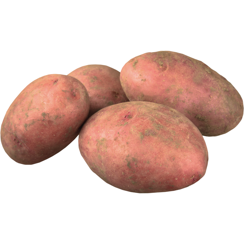 Patate Rosse Bio