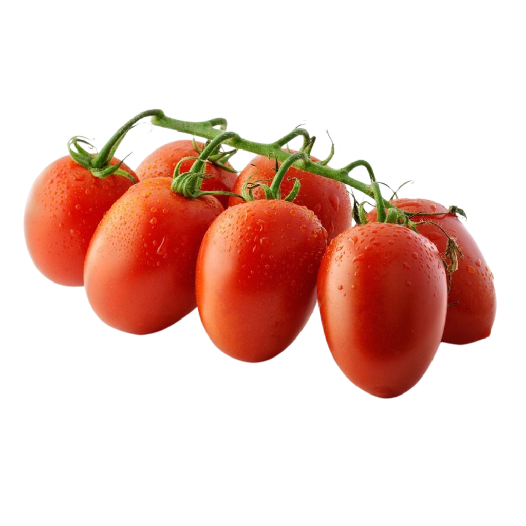 Pomodoro Datterino Bio