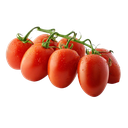 Pomodoro Datterino Bio