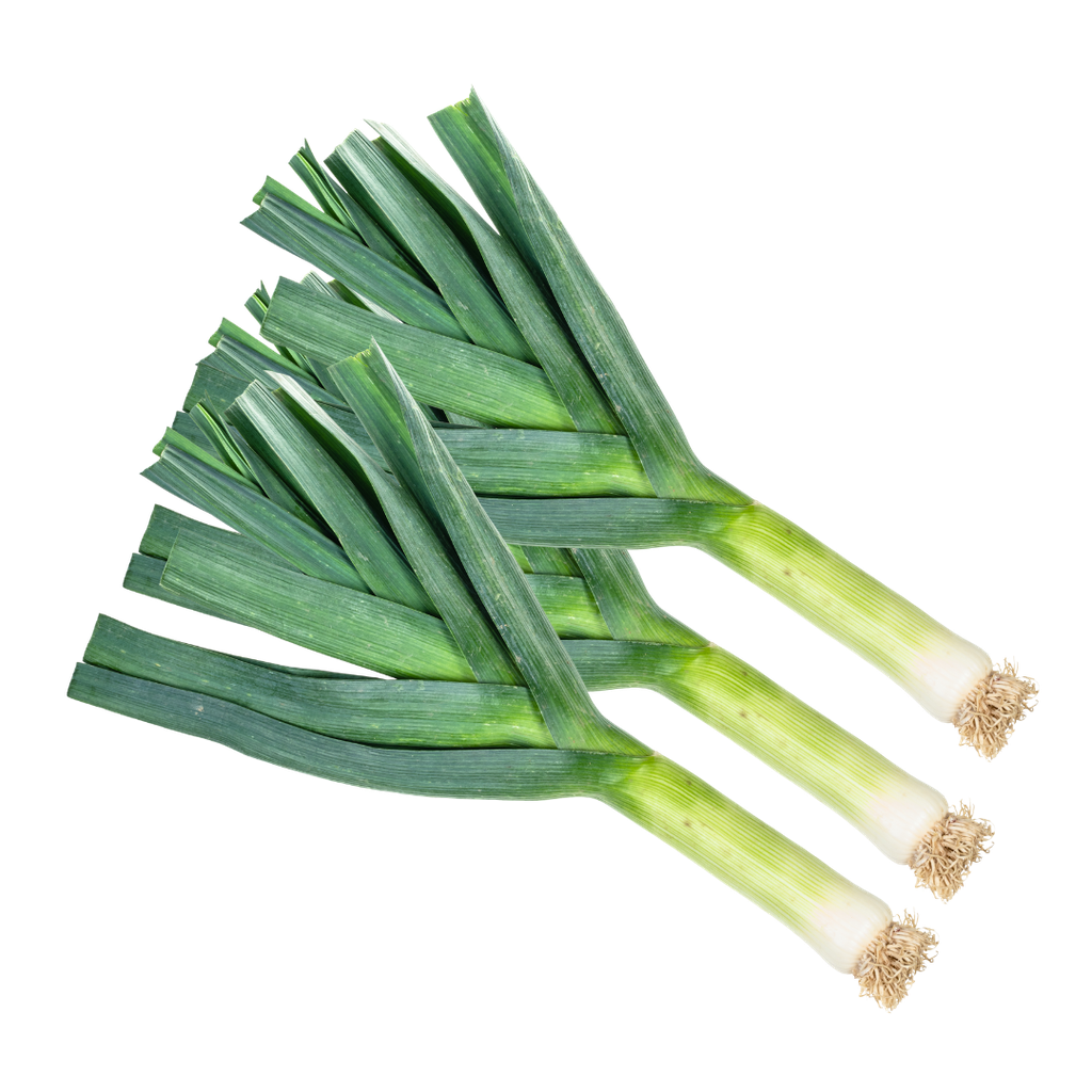 Porro Bio