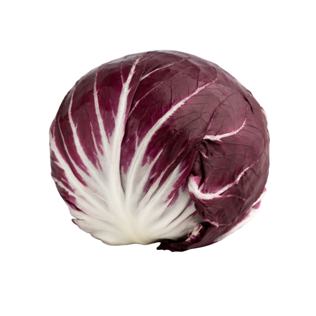 Radicchio Chioggia Bio