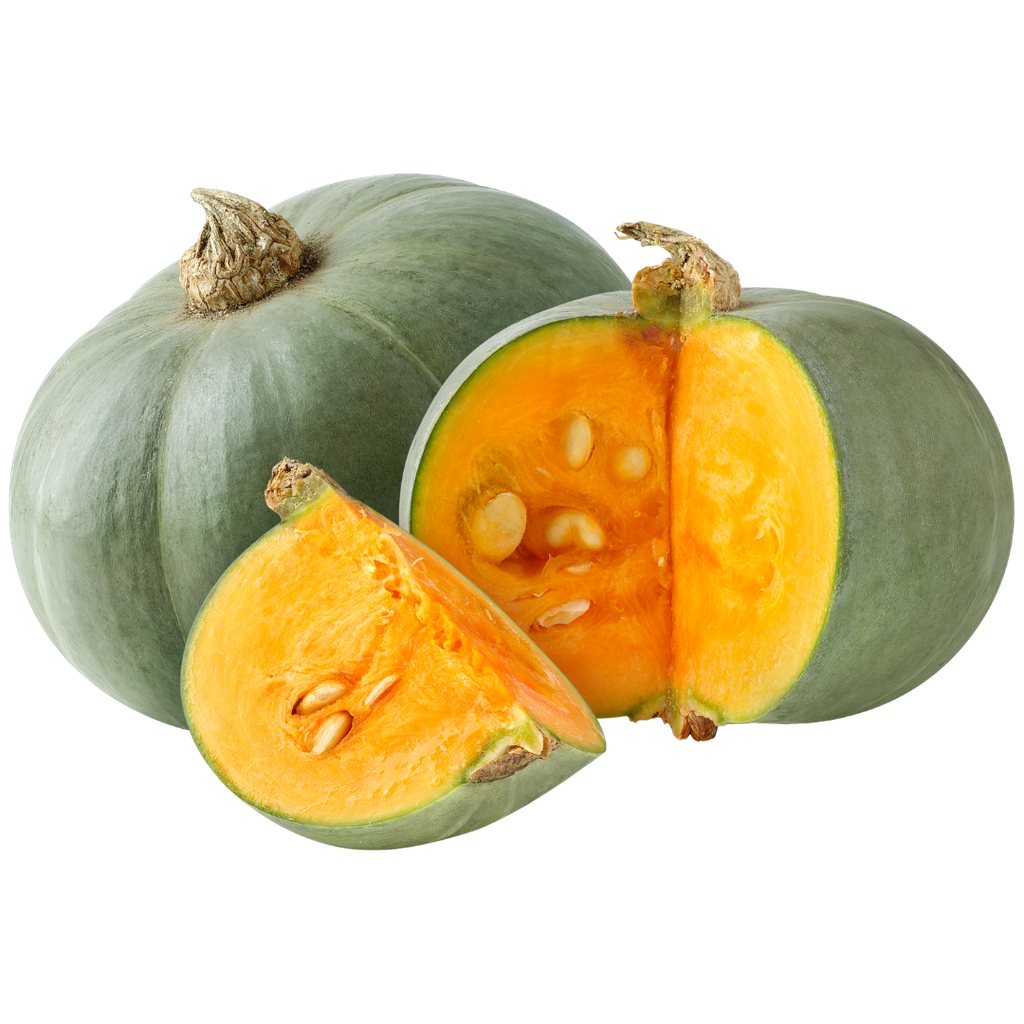 Zucca Delica Bio