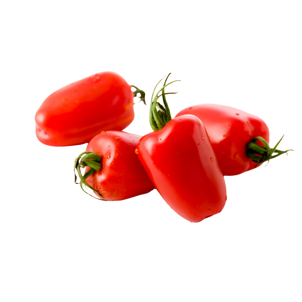 Pomodoro San Marzano Bio