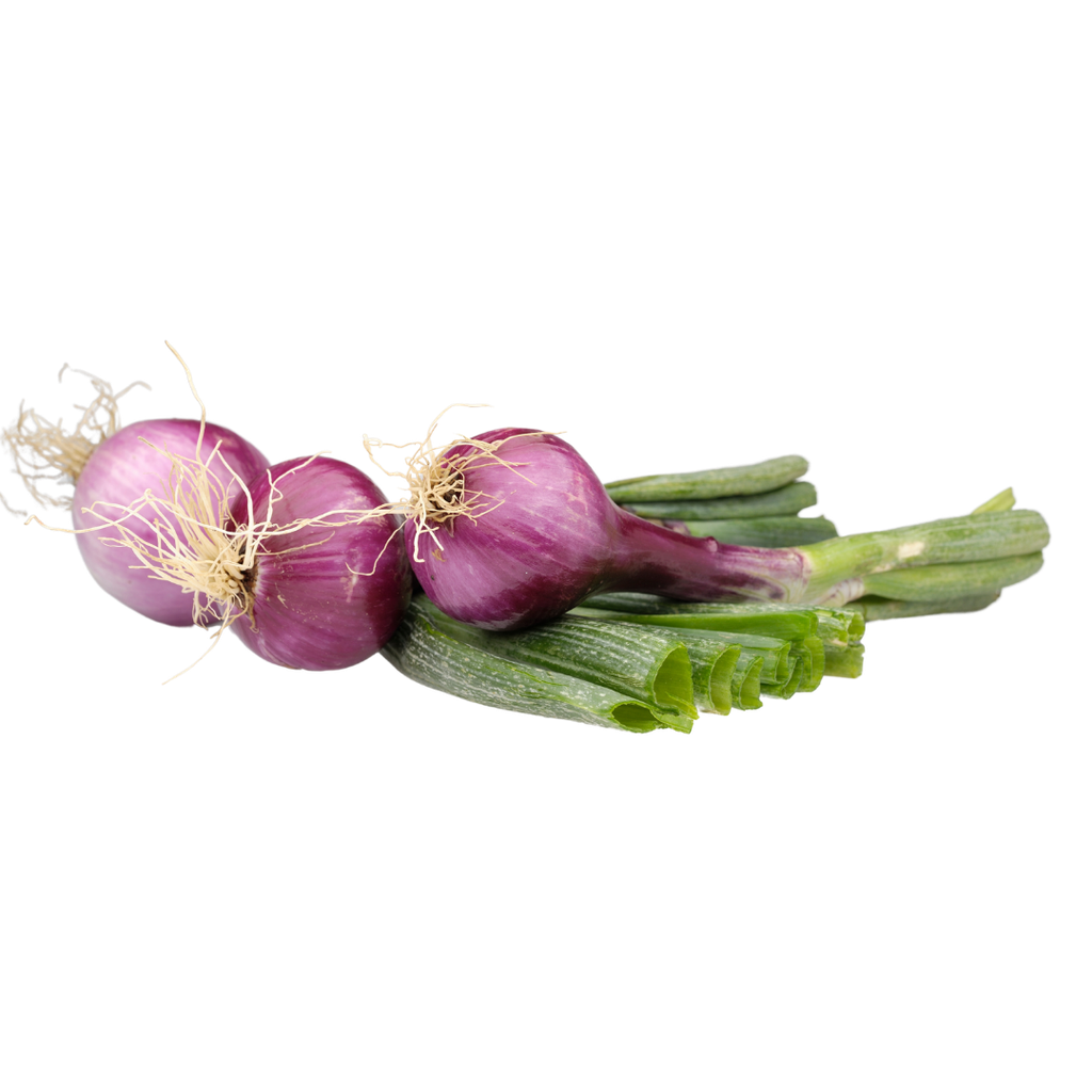 Cipolla Tropea Bio