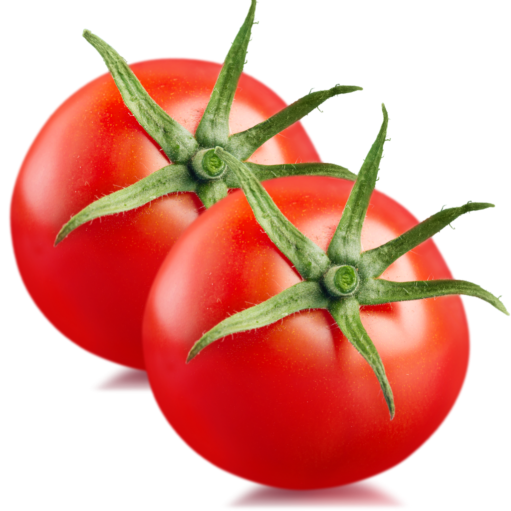 Pomodoro Insalataro Liscio Bio