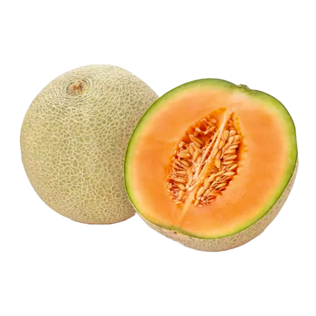 Melone Retato Bio