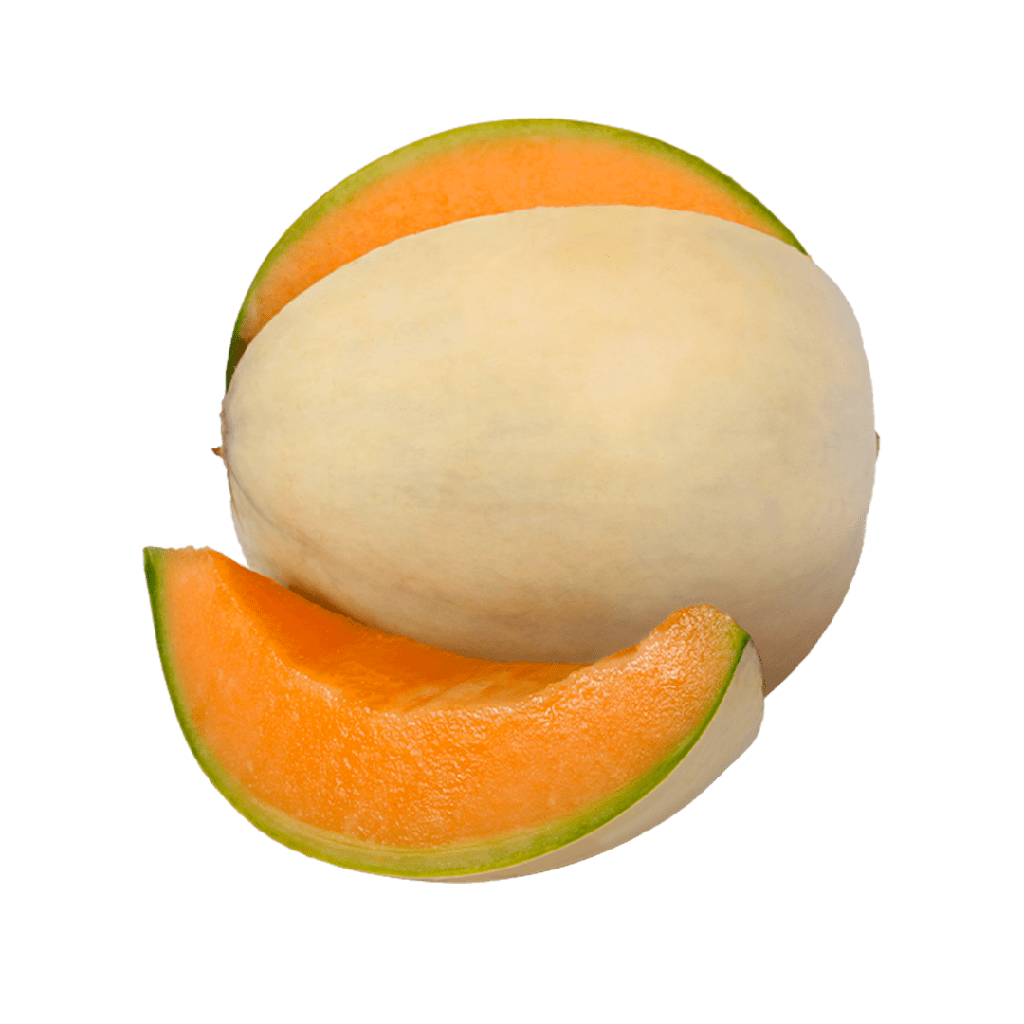 Melone Liscio Bio