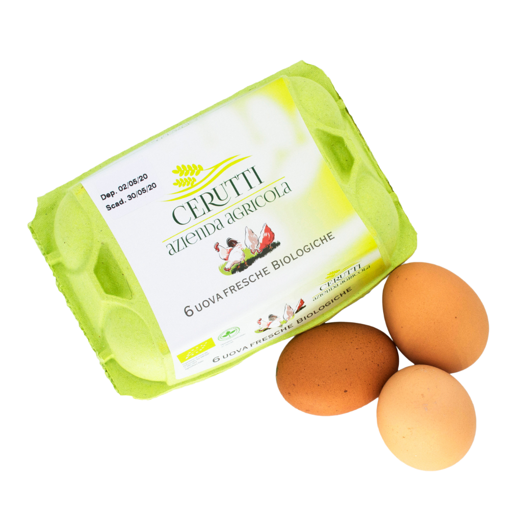 Uova Bio conf.6