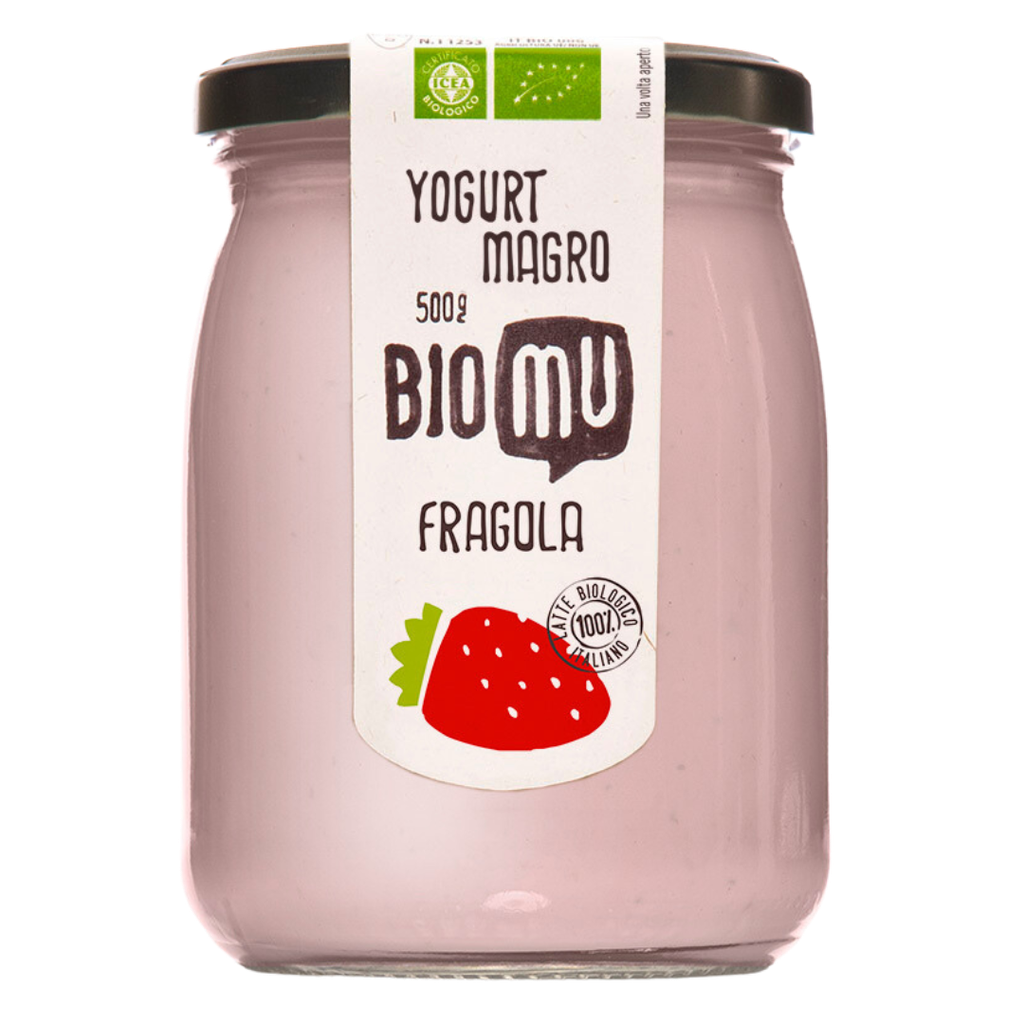Yogurt magro alla Fragola 500gr Bio