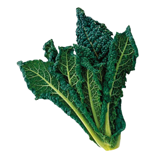 [1017] Cavolo Nero Bio