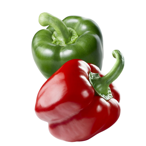 [1038] Peperoni Bio