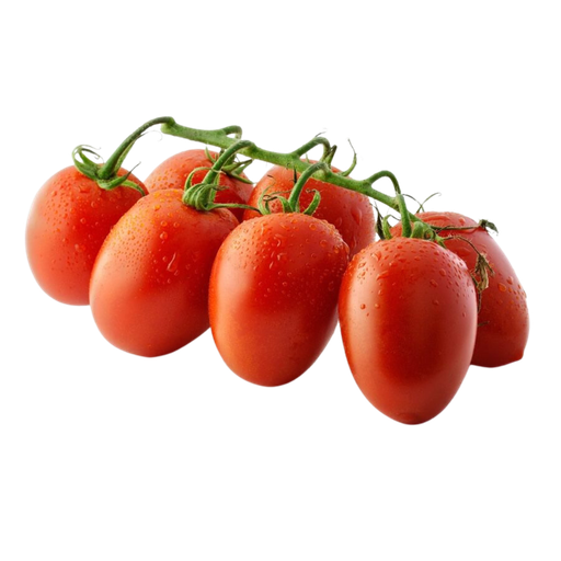 [1043] Pomodoro Datterino Bio