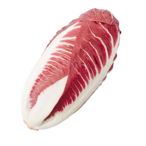 [1050] Radicchio Treviso Bio