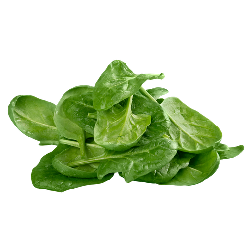[1057] Spinaci Bio