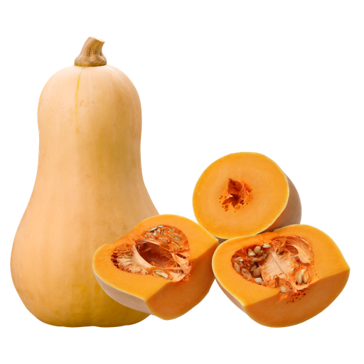 [1078] Zucca Butternut Bio