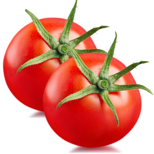 [1102] Pomodoro Insalataro Liscio Bio