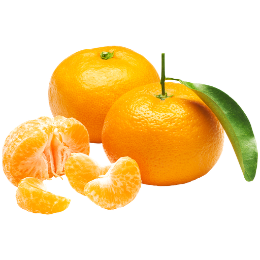 [2010] Mandarini Bio