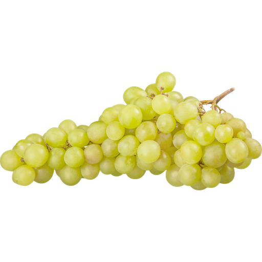[2022] Uva Bianca Bio