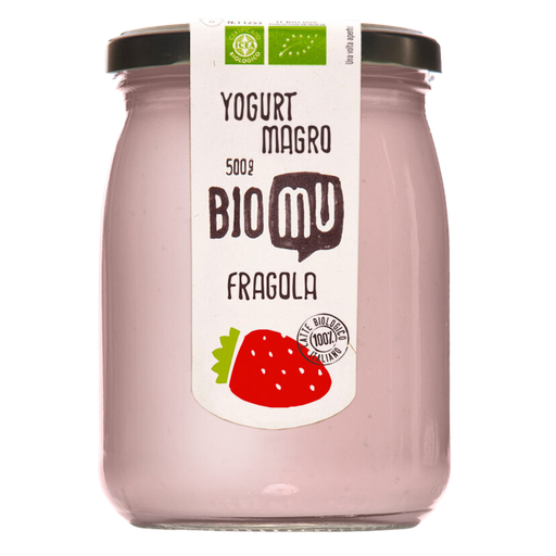 [23047] Yogurt magro alla Fragola 500gr Bio